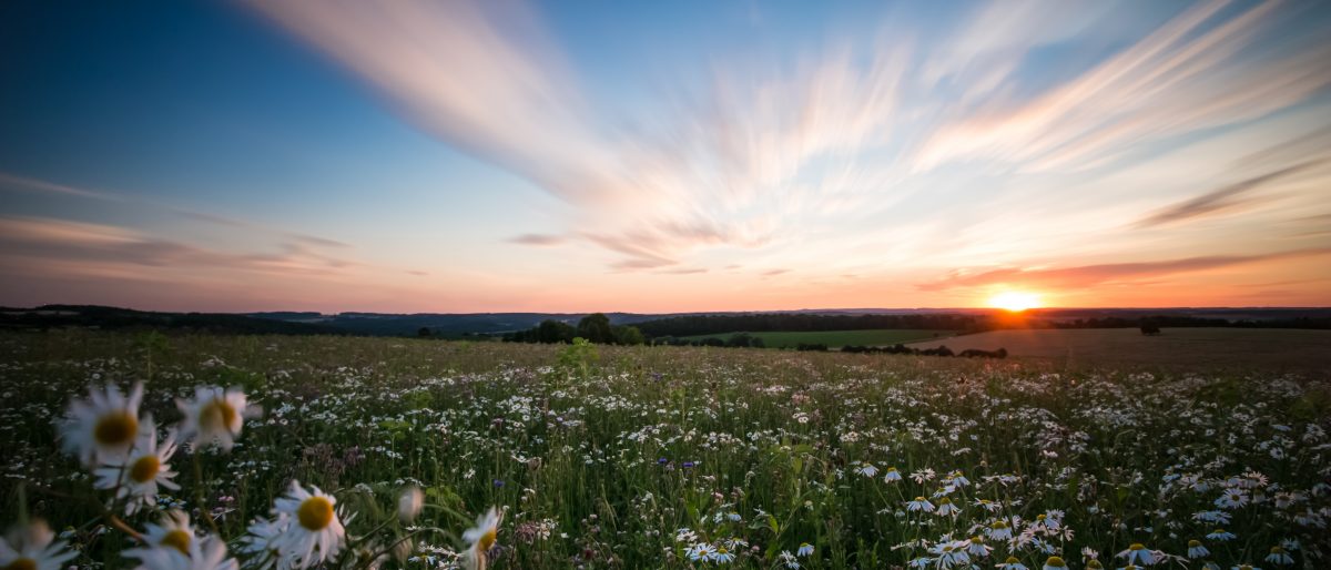 Permalink auf:Landschaft